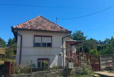 Casă individuală cu 4 camere cu Teren 1900 Mp în Gâmbuț