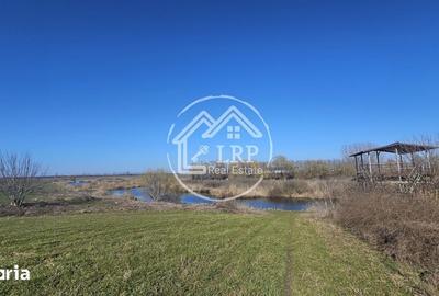 Teren de 646 mp, în Dascălu - 2