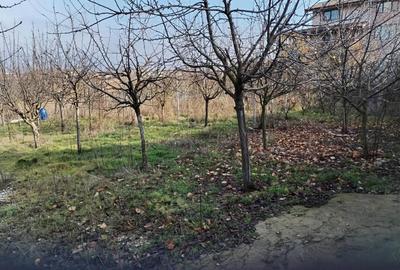 Apartament cu 6 camere în Vidra - 1
