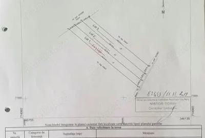 Teren de 2500 mp, în Micula - 2
