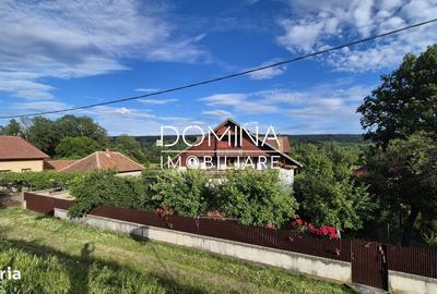 Casă cu 4 camere în Bălcești - 9