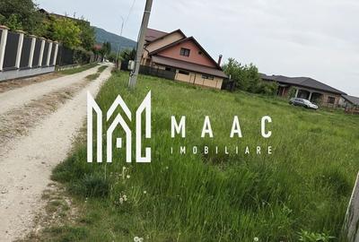 Spațiu comercial, în Bârlogu