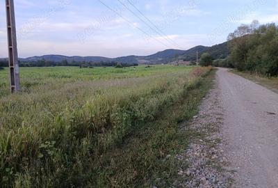 Teren de 30000 mp, în Lupoaia