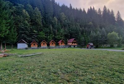 Teren de 3800 mp, în Borca - 4