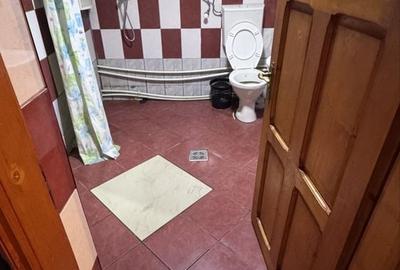 Casă cu 3 camere în Romanești - 2