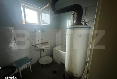 Casă cu 4 camere cu Teren 6197 Mp în Micula - 12