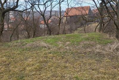 Teren Construcții intravilan de 2200 mp, în Mera - 5