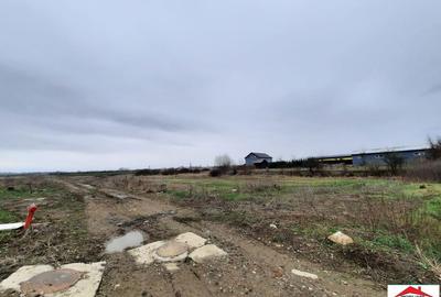 Teren de 12216 mp, în Vetiș - 4