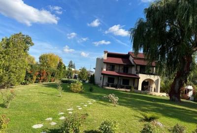 Casă individuală cu 8 camere cu Piscina în Snagov - 6