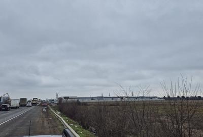 Teren Construcții intravilan de 49309 mp, în Mogoșoaia - 3