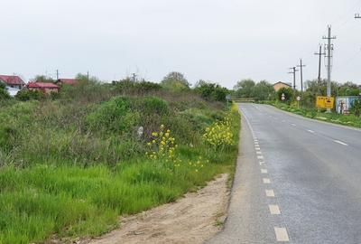 Teren agricol extravilan de 8945 mp, în Vidra - 2