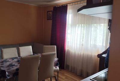 Apartament cu 2 camere în Carpați 2 - 4