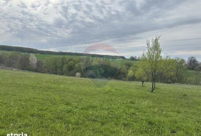Teren de 3000 mp, în Bodești - 4