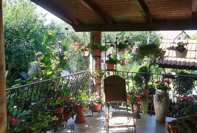 Casă cu Teren 1300 Mp în Lucian Blaga - 2