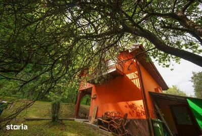 Casă cu 4 camere cu Teren 4891 Mp în Sava - 3