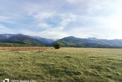 Teren de 2000 mp, în Berivoi - 1