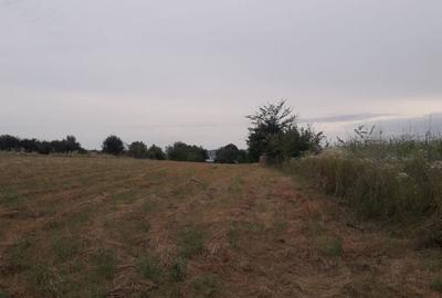 Teren de 3600 mp, în Dancaș