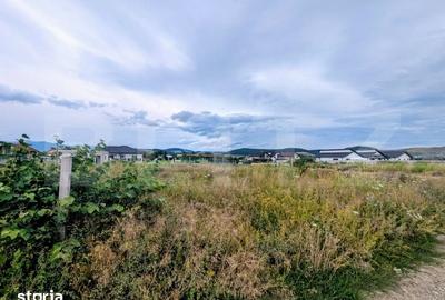 Teren de 389 mp, în Central
