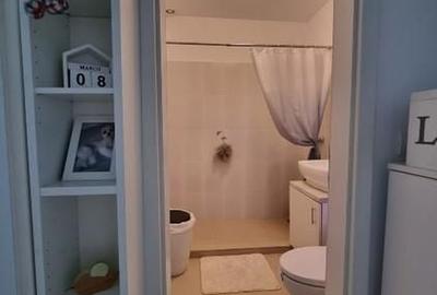 Apartament cu 2 camere semidecomandat, mobilat în Pajura - 9