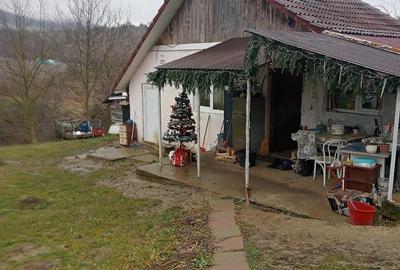Casă cu 2 camere cu Teren 5800 Mp în Herina - 3