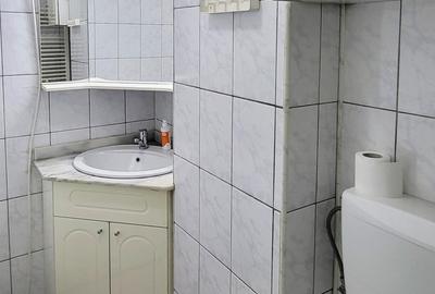 Apartament cu 2 camere decomandat în Dristor - 17