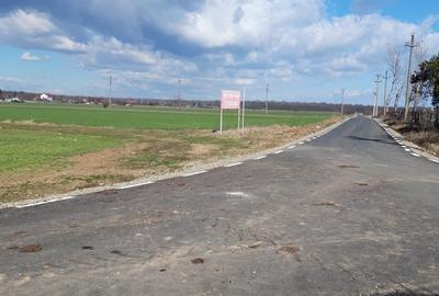 Teren de 4000 mp, în Tâncăbești