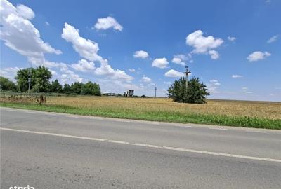 Spațiu comercial, în Tunari - 3