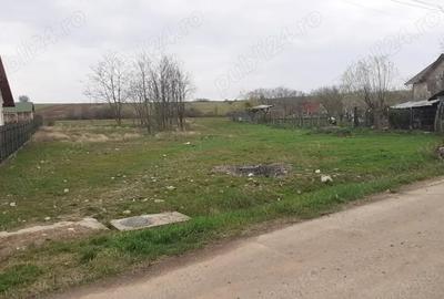 Teren de 1620 mp, în Bradu