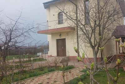 Casă cu Teren 894 Mp în Adunații-Copăceni - 9