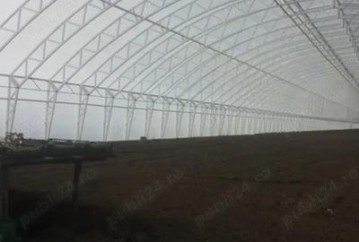 Teren de 5000 mp, în Matca - 4