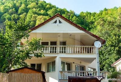 Casă cu 6 camere cu Teren 551 Mp în Teiu - 15