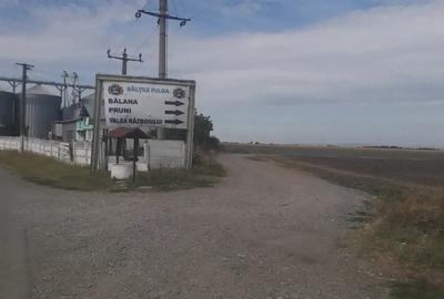 Teren de 40000 mp, în Fulga