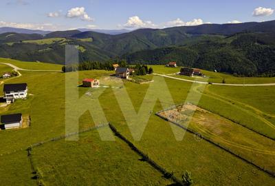 Teren Construcții intravilan de 1003 mp, în Păltiniș - 2