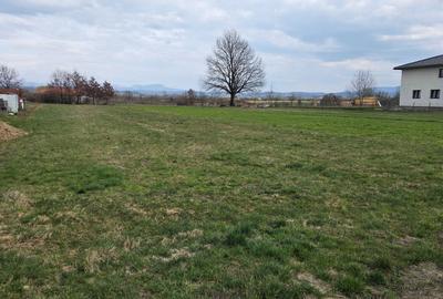 Teren de 2000 mp, în Coltău - 4