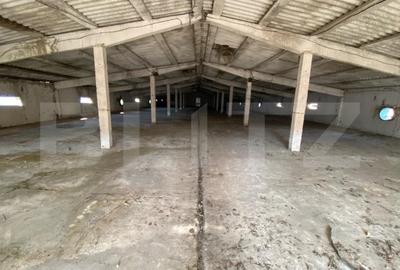 Spațiu industrial, de 6,000 mp, în Exterior Est