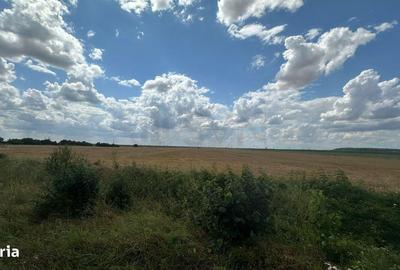 Teren de 26000 mp, în Ștefăneștii de Jos - 2