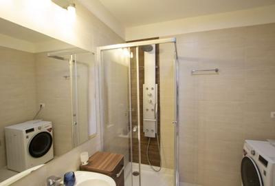 Apartament cu 3 camere decomandat, mobilat în Iancu Nicolae - 10