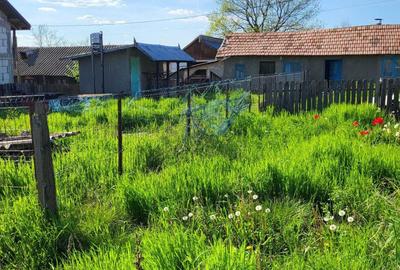 Casă cu 4 camere în Rădoiești - 7