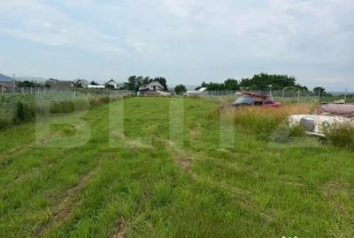 Casă cu 2 camere cu Teren 2000 Mp în Central - 3