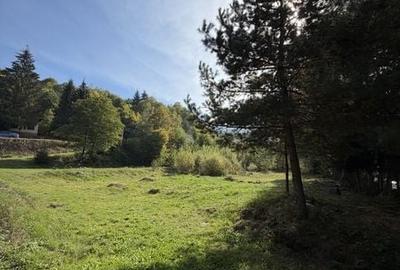 Teren de 1313 mp, în Poiana Mărului