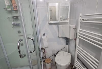 Apartament cu 2 camere circular, mobilat în Reșița - 8