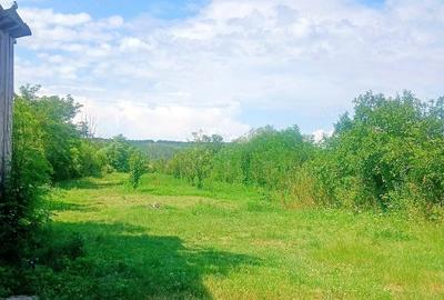 Casă cu 3 camere cu Teren 2700 Mp în Coada Izvorului