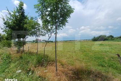 Teren de 899 mp, în Telești