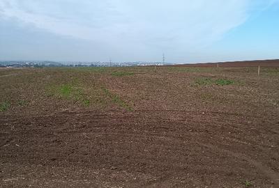 Teren Construcții intravilan de 5000 mp, în Holboca - 8