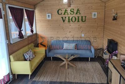 Casă cu 4 camere decomandat cu Teren 7851 Mp în Vintilă Vodă - 15