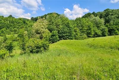 Teren de 2033 mp, în Mărgineni