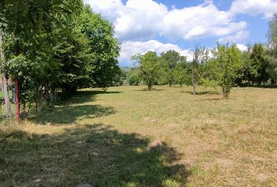 Teren Construcții intravilan de 1040 mp, în Podul Lung - 1