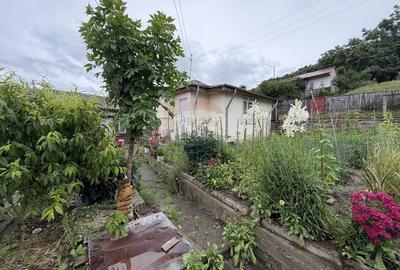 Casă individuală cu 3 camere cu Teren 315 Mp în Nord-Est - 15