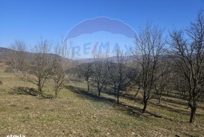 Spațiu comercial, în Bârsana - 1
