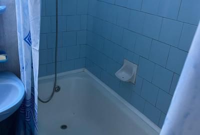 Apartament cu 3 camere decomandat, mobilat în Mărăști - 8